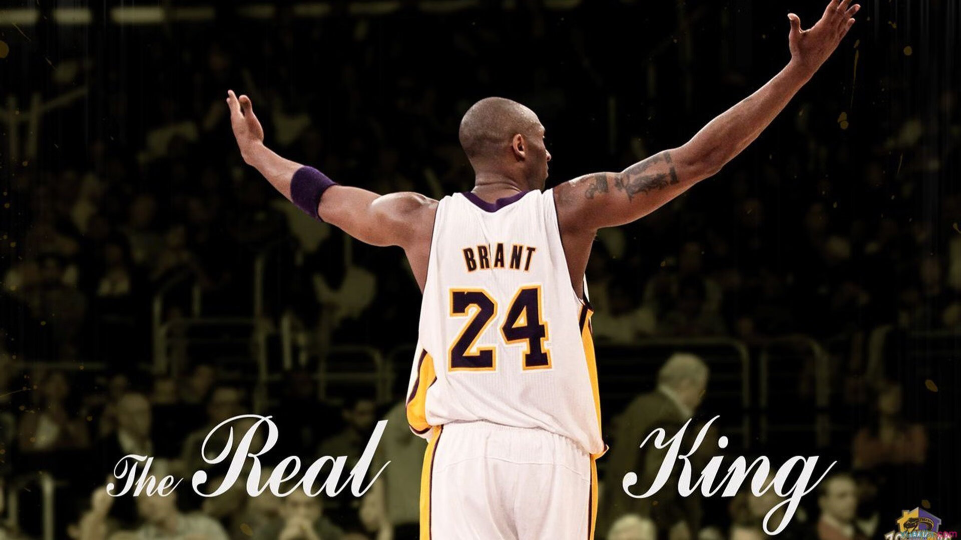 九游娱乐体育官网-本轮最震撼：逆转绝杀的瞬间赛场大揭秘！，逆转胜率